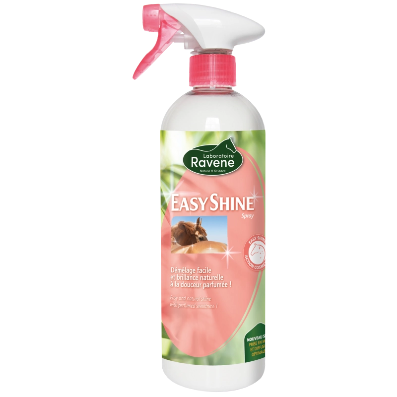 Easy Shine 750ml RAVENE Easy Shine 750ml RAVENE