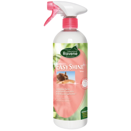 Easy Shine 750ml RAVENE