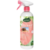 Easy Shine 750ml RAVENE