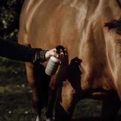 PROTECT'INSECTES POUR CHEVAUX 300ml